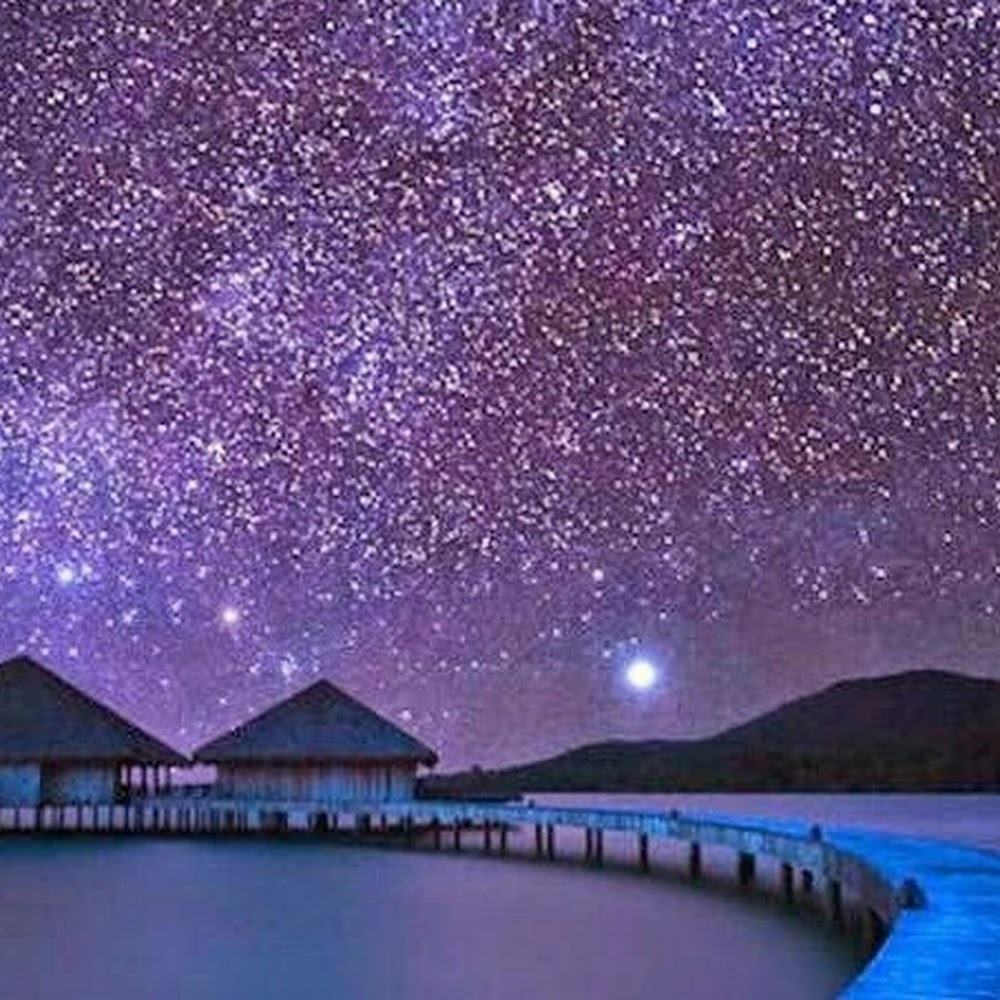 Meet your Posher, Cheyenne